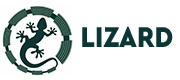 LIzard